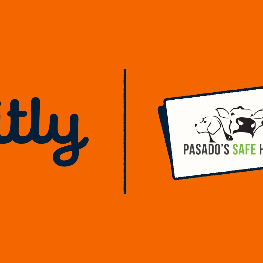 How Pasado’s Safe Haven Saves Hours On Reporting with Bitly Assist